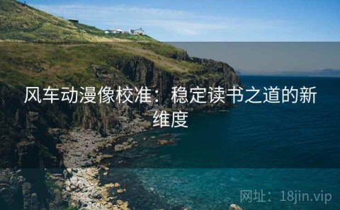 风车动漫像校准：稳定读书之道的新维度