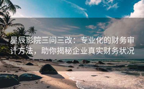 星辰影院三问三改：专业化的财务审计方法，助你揭秘企业真实财务状况