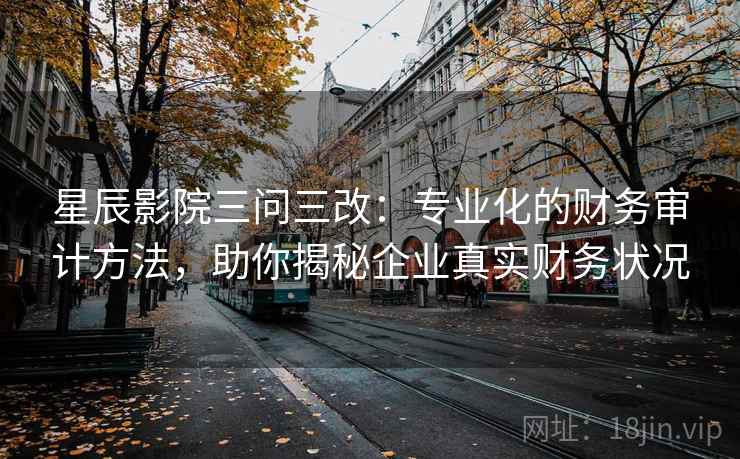 星辰影院三问三改：专业化的财务审计方法，助你揭秘企业真实财务状况