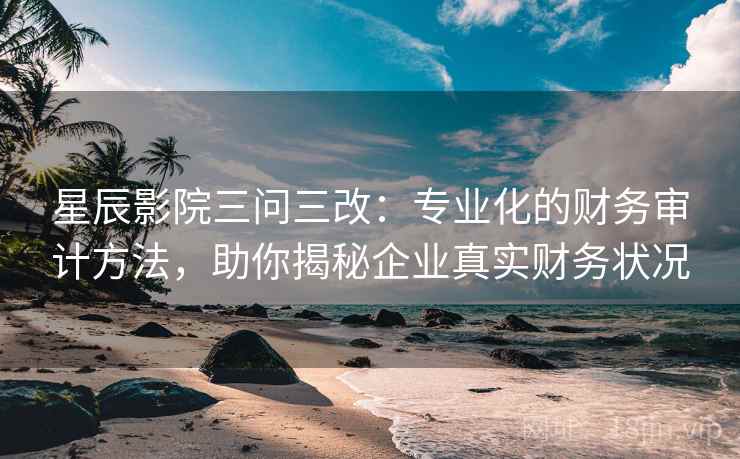 星辰影院三问三改：专业化的财务审计方法，助你揭秘企业真实财务状况