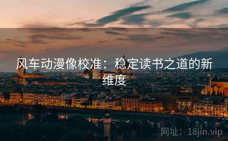 风车动漫像校准：稳定读书之道的新维度